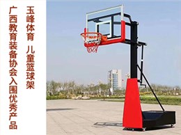 儿童青少年室外训练升降篮球架